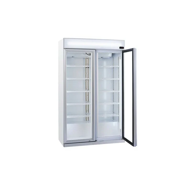 Armoire à boissons 2 portes battantes - 1050 litres