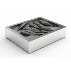 Bac à glace pilée inox poissonnerie - 2/1 GN - 722 x 590 x 170 mm