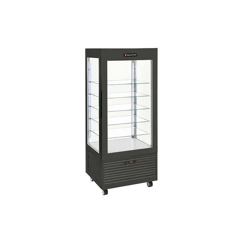 VITRINE PANORAMIQUE - T°C NEGATIF VENTILE(-18/-5°C) GAMME FUTURE - 480L